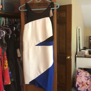 Never worn blue bodycon dress- size small